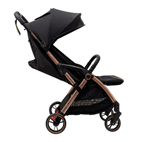 Bambini Paris Travel Stroller